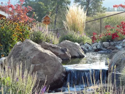 Aquatic Elements — Landscape Design project by Environment West