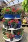 Wayside Garden Center - Landscape Design in Macedon, NY