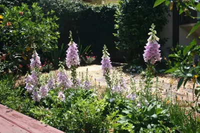 Bridal Oasis — Landscape Design project by Stephanie Appel, Proffessional Landscape Architect