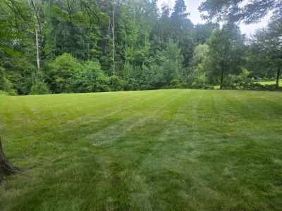 Perla's Landscaping - Landscape Construction in Woodbridge, NJ
