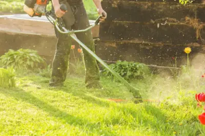 Alex Landscaping & Maintenance LLC - Landscape Construction in Homestead, FL