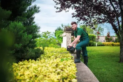 Alex Landscaping & Maintenance LLC - Landscape Construction in Homestead, FL