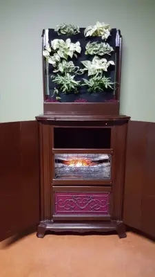 Wallflower Vertical Gardens - Interior Design & Decorating in Olathe, KS
