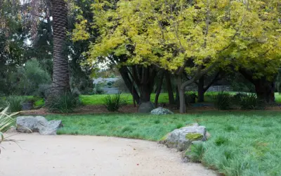 A Fresh Center of Attention — Landscape Design project by Blue Door Garden Design, Inc.