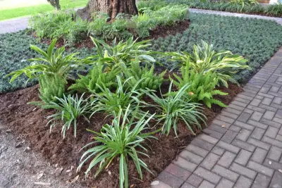 Megan Montgomery Design - Landscape Construction in Lafayette, LA
