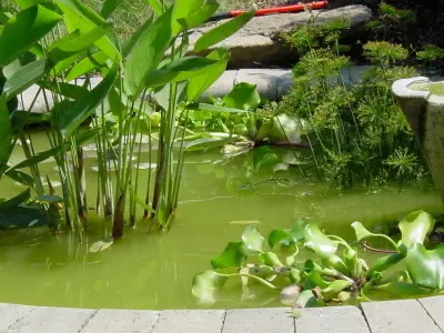 A basic water element — Landscape Design project by RAL Design & Horticulture