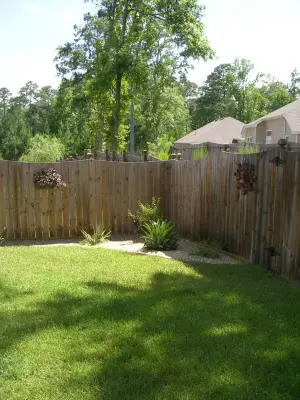 Rejuvenation LLC - Tree & Shrub Care in Tallahassee, FL