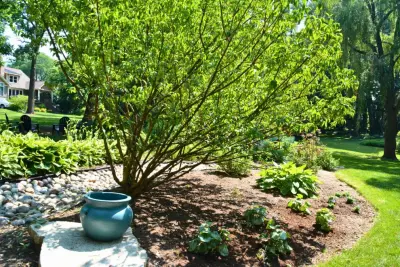 Platt Hill Nursery - Tree & Shrub Care in Bloomingdale, IL