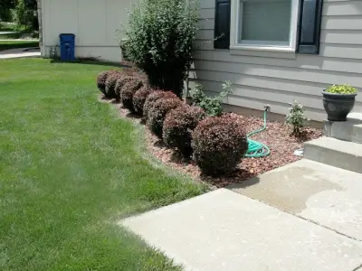 A2D Landscape & Design - Tree & Shrub Care in Blue Springs, MO