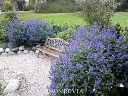UrbanSanctuaries - Landscape Construction in Washington, PA