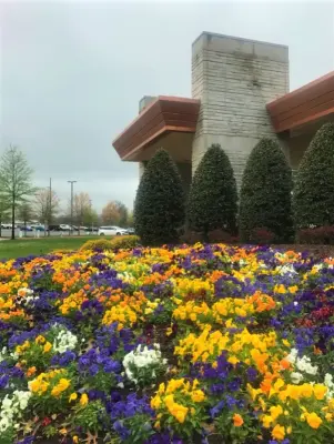 Colonial Hills - Architectural & Building Design Services in Fayetteville, AR