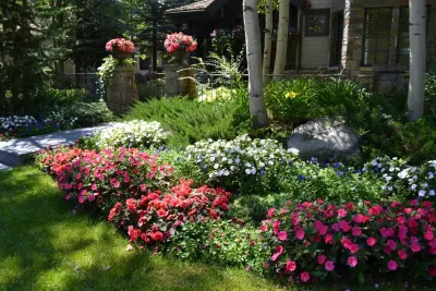 Alpine Design & Planning - Deck Building & Repair in Aspen, CO