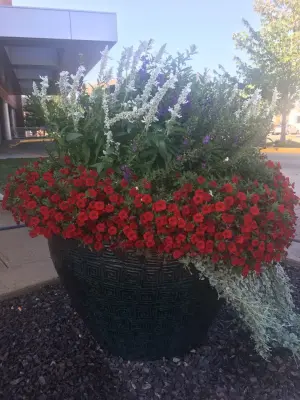Creative Garden Services - Tree & Shrub Care in Quincy, IL