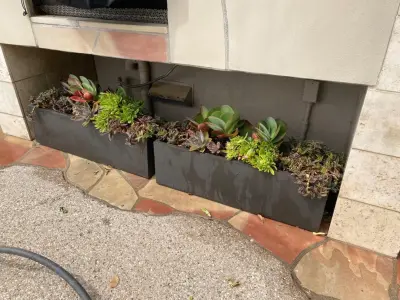 Green Side Planting Design and Maintenance - Landscape Construction in Tucson, AZ
