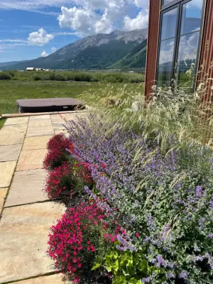 Aperture Home — Landscape Design project by SCJ Studio CB