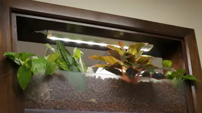 GreenTowers, LLC - Design-Build Services in State College, PA