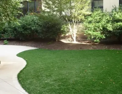 Synthetic Grass — Landscape Design project by The Easy Gardener