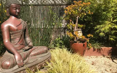Blue Door Garden Design, Inc. - Architectural & Building Design Services in Carmel, CA