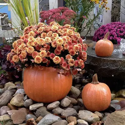 Athena Garden - Hand Sculpted Home & Garden Decor - Landscape Design in Latrobe, PA