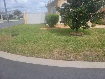 Athen's Ec Landscaping LLC - Tree Planting & Transplanting in Summerfield, FL