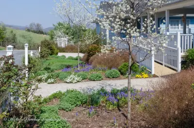 Michele Fletcher Landscape Designs - Deck Building & Repair in Lexington, VA