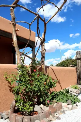 Desert Siren Landscape Design, LLC - Architectural & Building Design Services in Las Cruces, NM