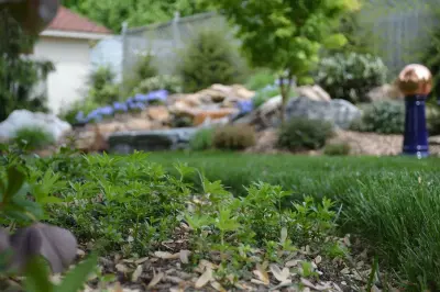 Promier Landscapes - Landscape Construction in Kingsport, TN