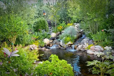Nature's Design of Steamboat - Deck Building & Repair in Steamboat Springs, CO