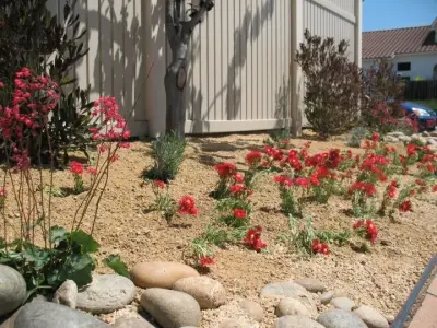 David Mabs - Design-Build Services in Porterville, CA