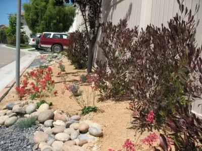 Coastal Residence Streetscape — Landscape Design project by David Mabs