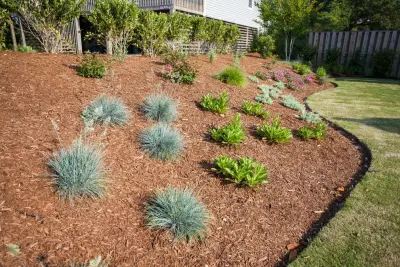 Living Oaks Landscaping - Tree & Shrub Care in Kitty Hawk, NC
