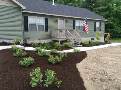 Poplar Point Studio - Tree Planting & Transplanting in Auburn, NY