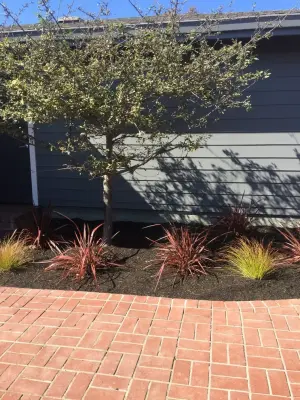 Laura Frost; Home and Garden Designer - Landscape Design in Mckinleyville, CA