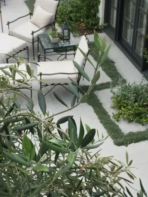 Lisa Chestnut | Landscapes - Landscape Construction in Marfa, TX
