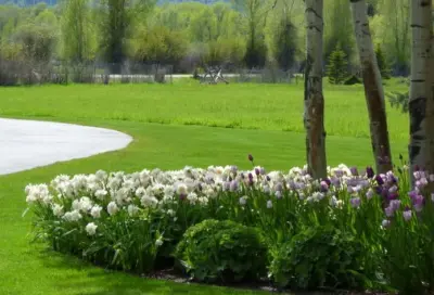 Teton Gardens - Landscape Construction in Jackson, WY