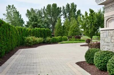 Esch Landscaping LLC - Tree Planting & Transplanting in Pigeon, MI