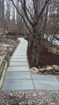 Ted Collins Tree & Landscape - Tree Planting & Transplanting in Victor, NY