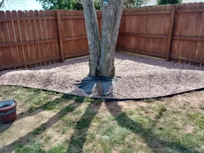 The Lawn Service, LLC - Landscape Construction in Springfield, MO