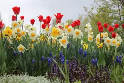 Light Sources — Landscape Design project by Teton Gardens