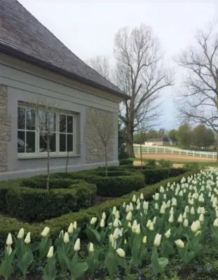 Charris Avenue — Landscape Design project by Colonial Hills
