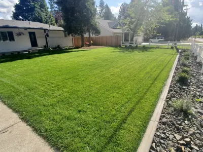 Timeless Curb Appeal — Landscape Design project by Country Girl Gardens