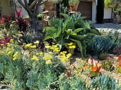 H2 XERO Landscape Design - Landscape Design in Aliso Viejo, CA