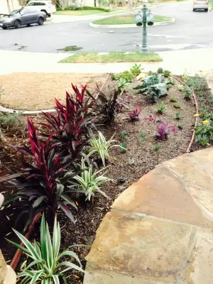 H2 XERO Landscape Design - Landscape Design in Aliso Viejo, CA