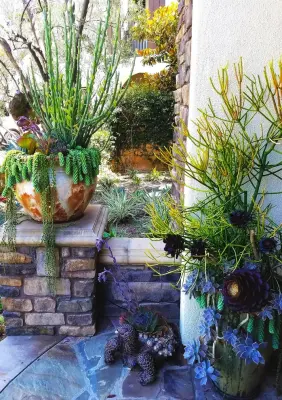 H2 XERO Landscape Design - Landscape Design in Aliso Viejo, CA