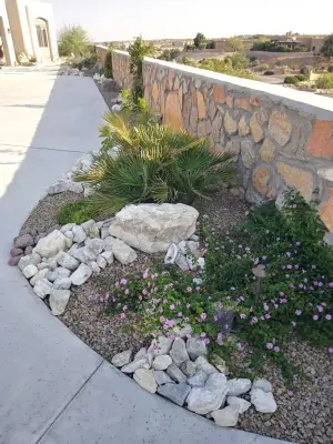 Full Setup — Landscape Design project by Desert Siren Landscape Design, LLC