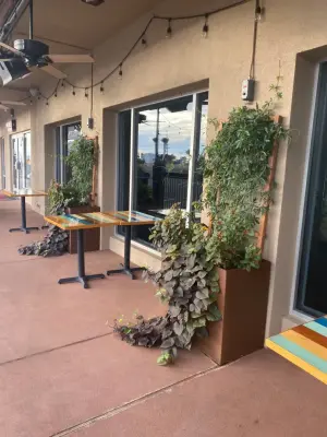 Green Side Planting Design and Maintenance - Landscape Construction in Tucson, AZ