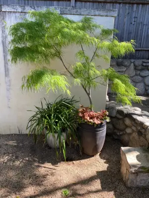 Lesley Grainger Design - Deck Building & Repair in Carmel, CA