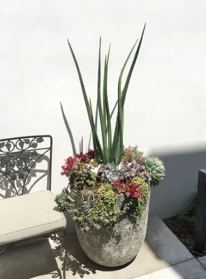 Table2Garden - Landscape Design in Santa Ana, CA