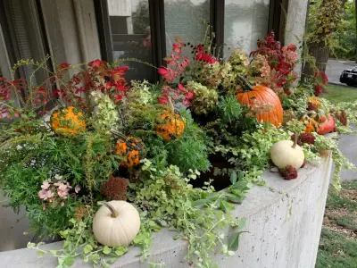 Sun or Shade Garden Design - Landscape Design in Des Moines, IA