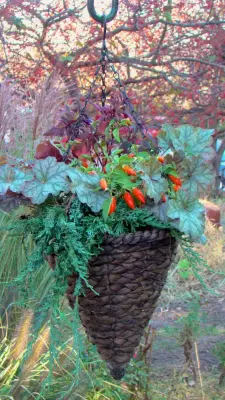 Sun or Shade Garden Design - Landscape Design in Des Moines, IA